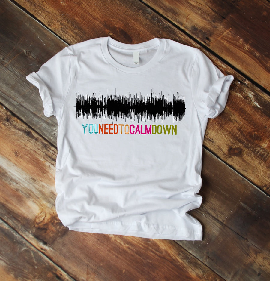 You Need to Calm Down Soundwave T-Shirt | Sound Wave Shirt
